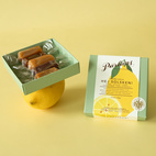 kolor HEJ SOLSKEN 5 bitar