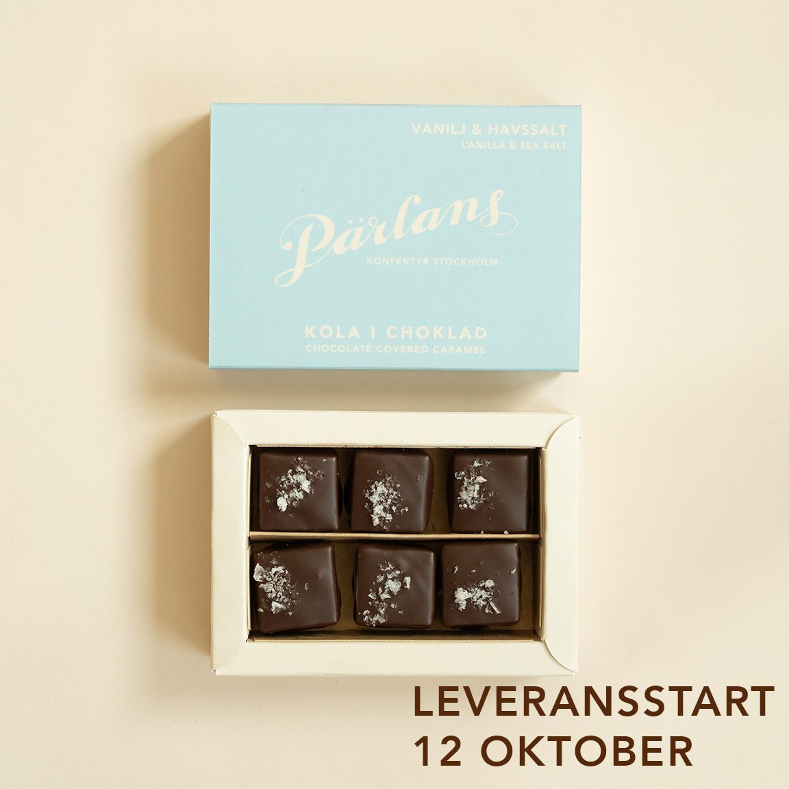 chocolate covered caramel VANILLA & SEA SALT 6 pieces